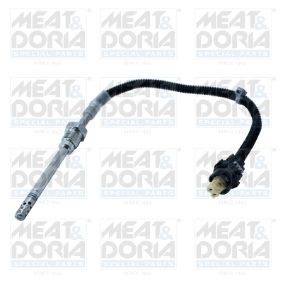 Sensor, exhaust gas temperature